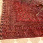 819 2481 ORIENTAL RUG